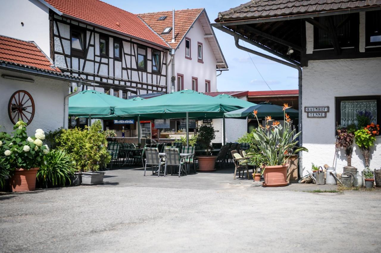 Hotel- Landgasthof Baumhof-Tenne Марктхайденфелд Екстериор снимка